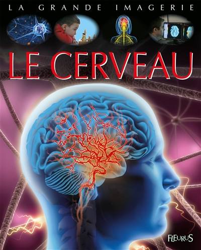 Le cerveau | Cathy Franco, Emilie Beaumont, Jacques Dayan, Stephane Epelbaum