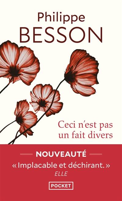 Ceci n'est pas un fait divers | Philippe Besson