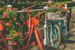 réemploi de bicyclette en jardinière